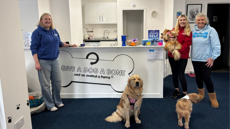 Snappy Shopper donates £500 of pet food and groceries to Give a Dog a Bone community hubs this Christmas